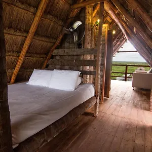 旅馆 Bambu Gran Palas Hostal Party, 图卢姆